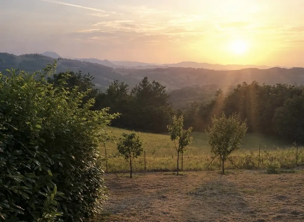 Immagine per Terratetto in vendita a San Benedetto Val di Sambro via La Torre