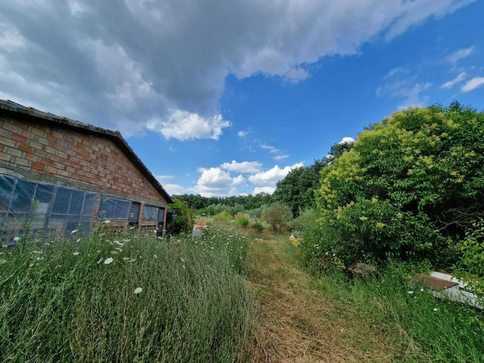 Immagine per Villa in vendita a Avigliano Umbro viale Giacomo Matteotti
