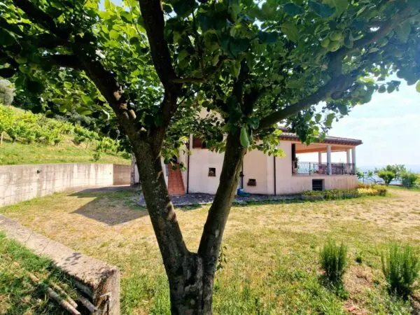 Villa via Vocabolo Colle 20, Alviano