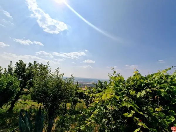 Villa via Vocabolo Colle 20, Alviano