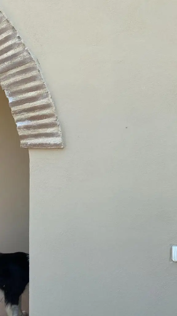 Immagine per Casale in vendita a Montecastrilli via Vocabolo Ceccotta