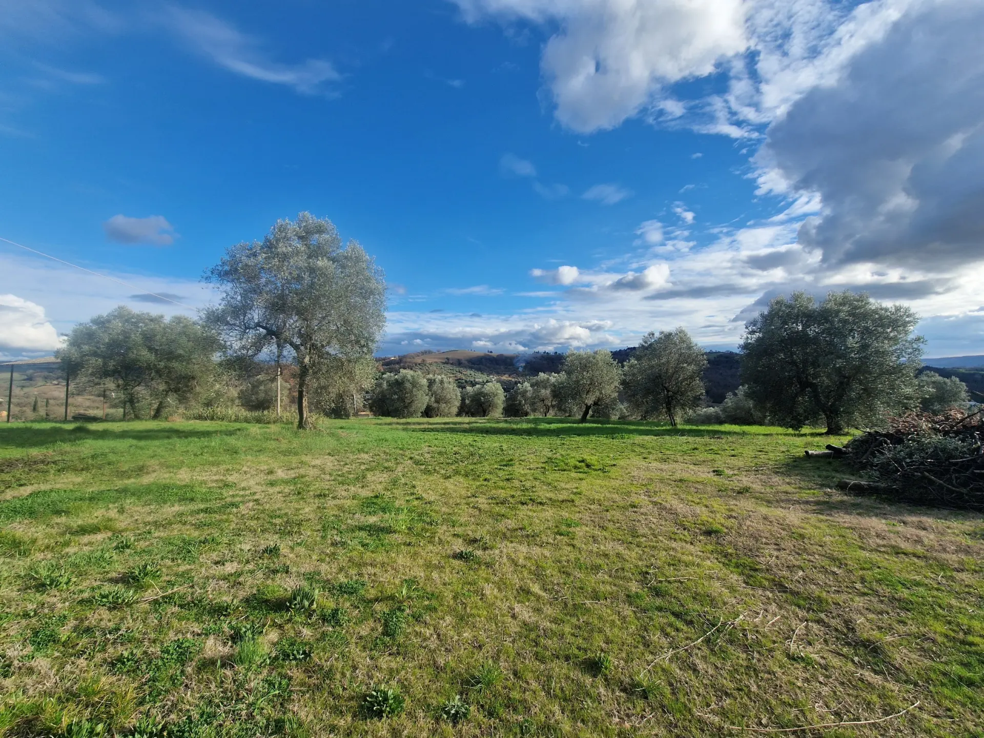 Immagine per Villa in vendita a Amelia strada Provinciale 8