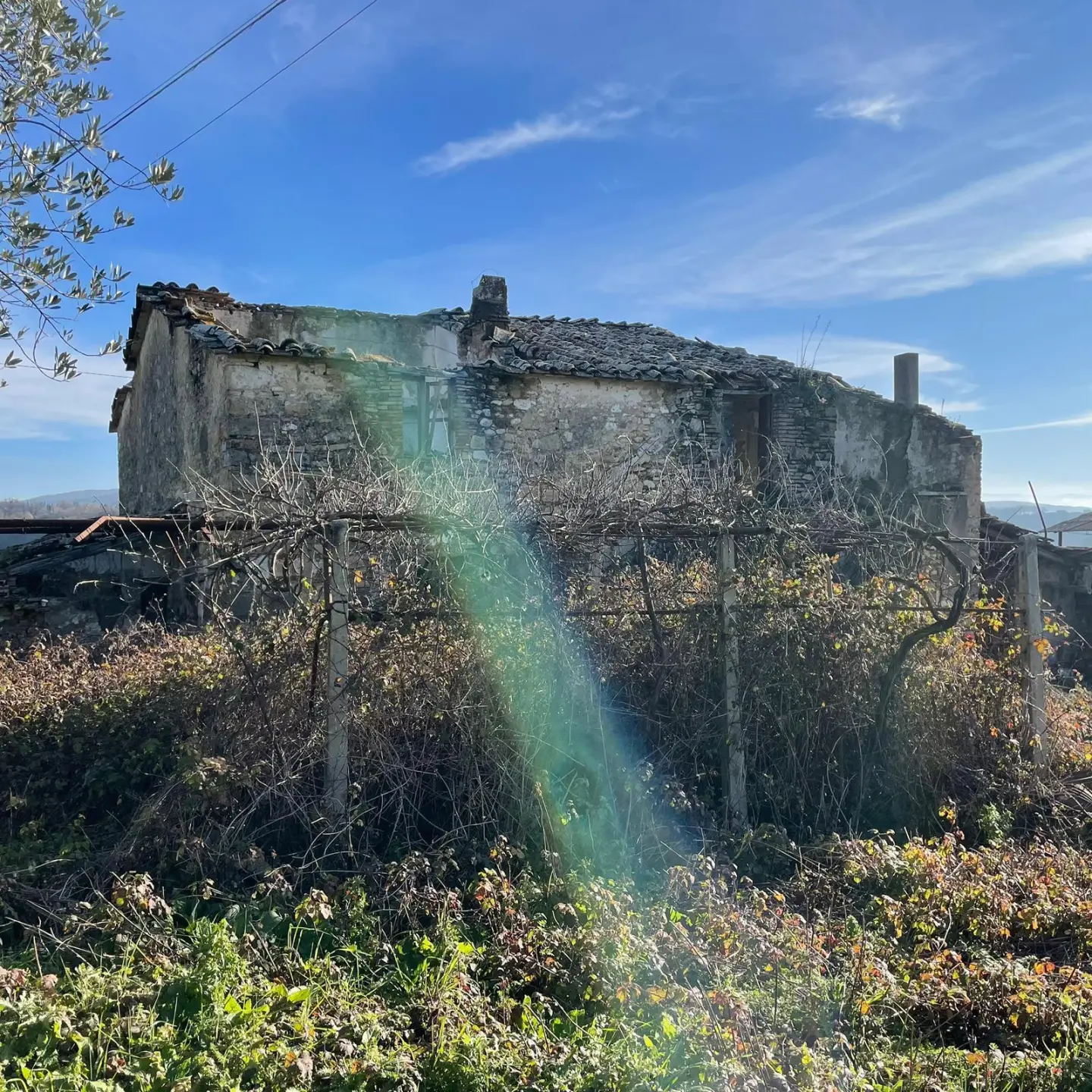 Immagine per Villa in vendita a Amelia strada Provinciale 8