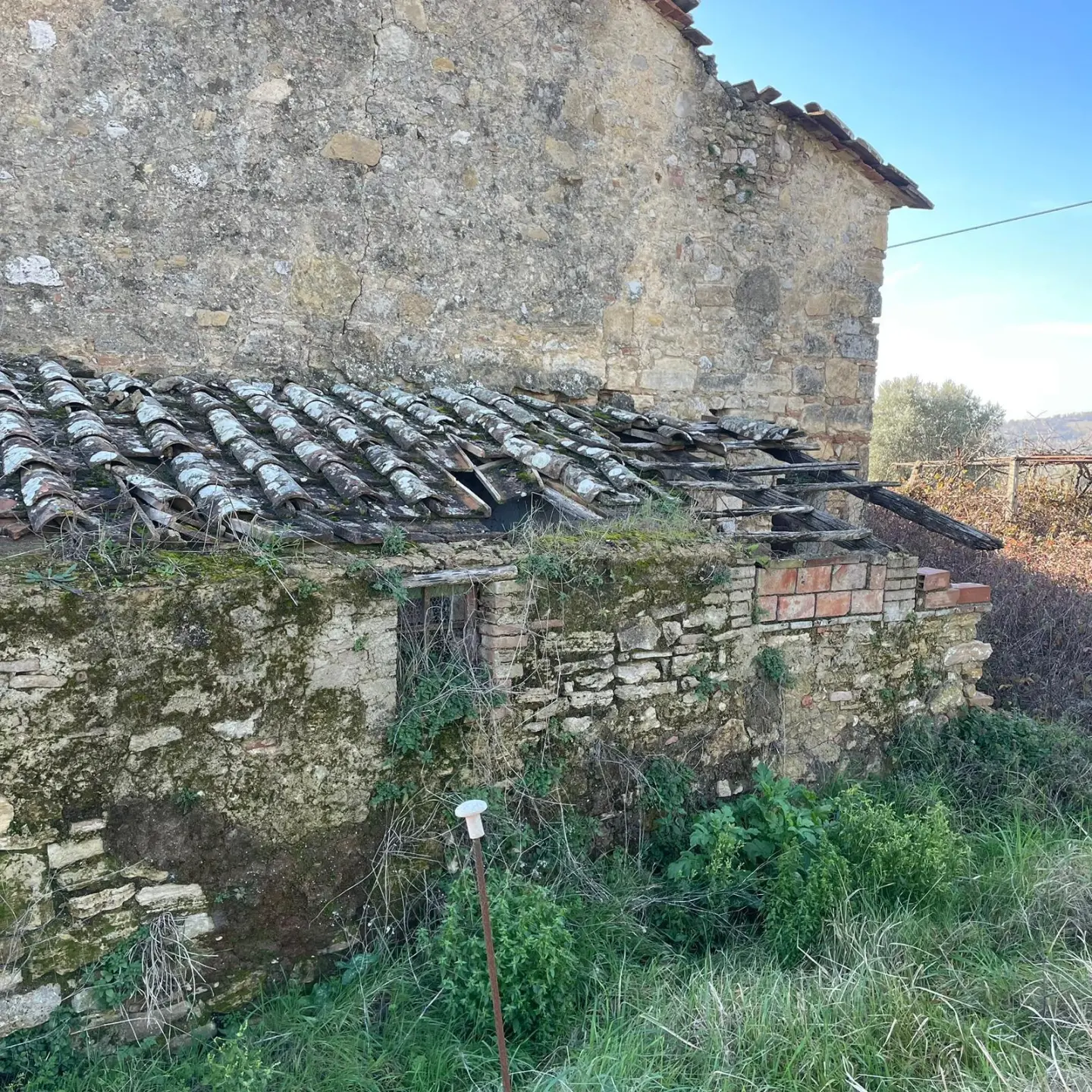 Immagine per Villa in vendita a Amelia strada Provinciale 8