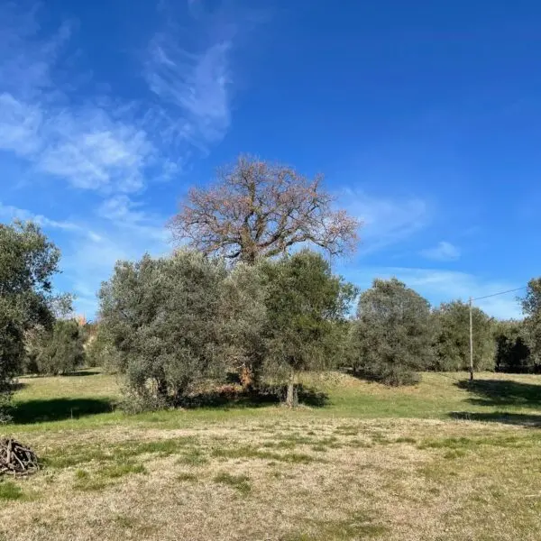Villa strada Statale 8, Amelia