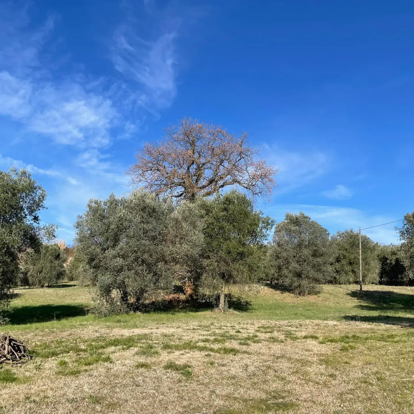 Immagine per Villa in vendita a Amelia strada Statale 8