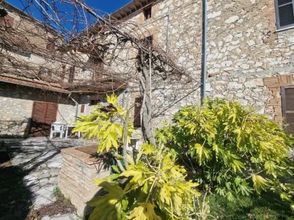Porzione Di Casa via Carlo Alberto 68, Amelia