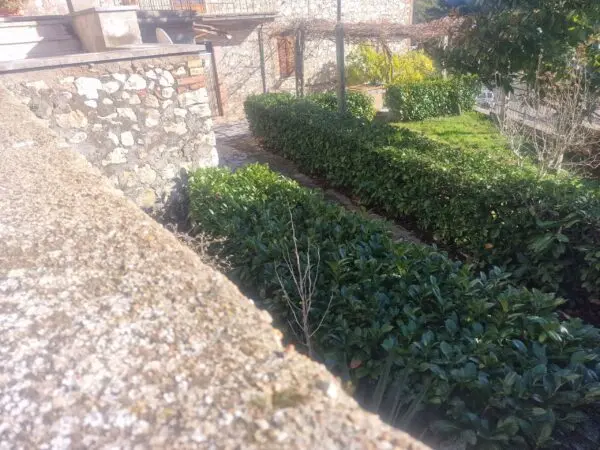 Porzione Di Casa via Carlo Alberto 68, Amelia