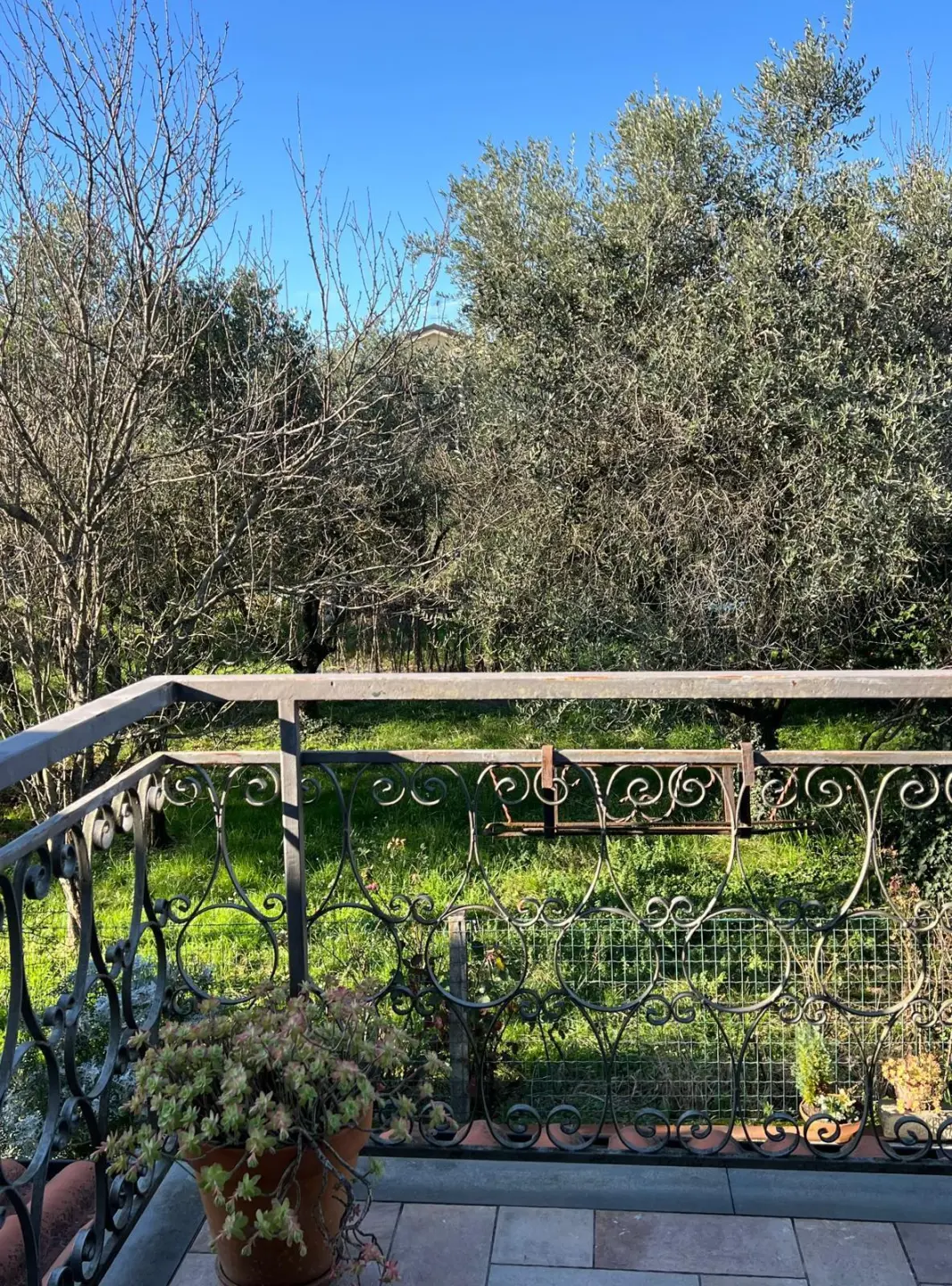 Immagine per Villa bifamiliare in vendita a Castelnuovo Magra via Canale 193