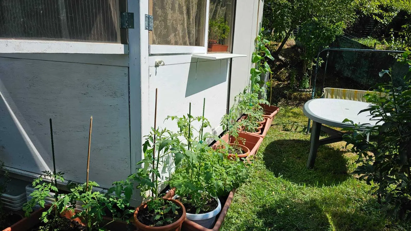 Immagine per Chalet - Baita in vendita a Castelnuovo Magra via Degli Ulivi 2