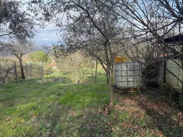 Terratetto via Mazzincollo 35-19, Sarzana