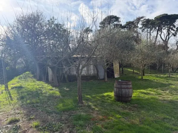 Terratetto via Mazzincollo 35-19, Sarzana