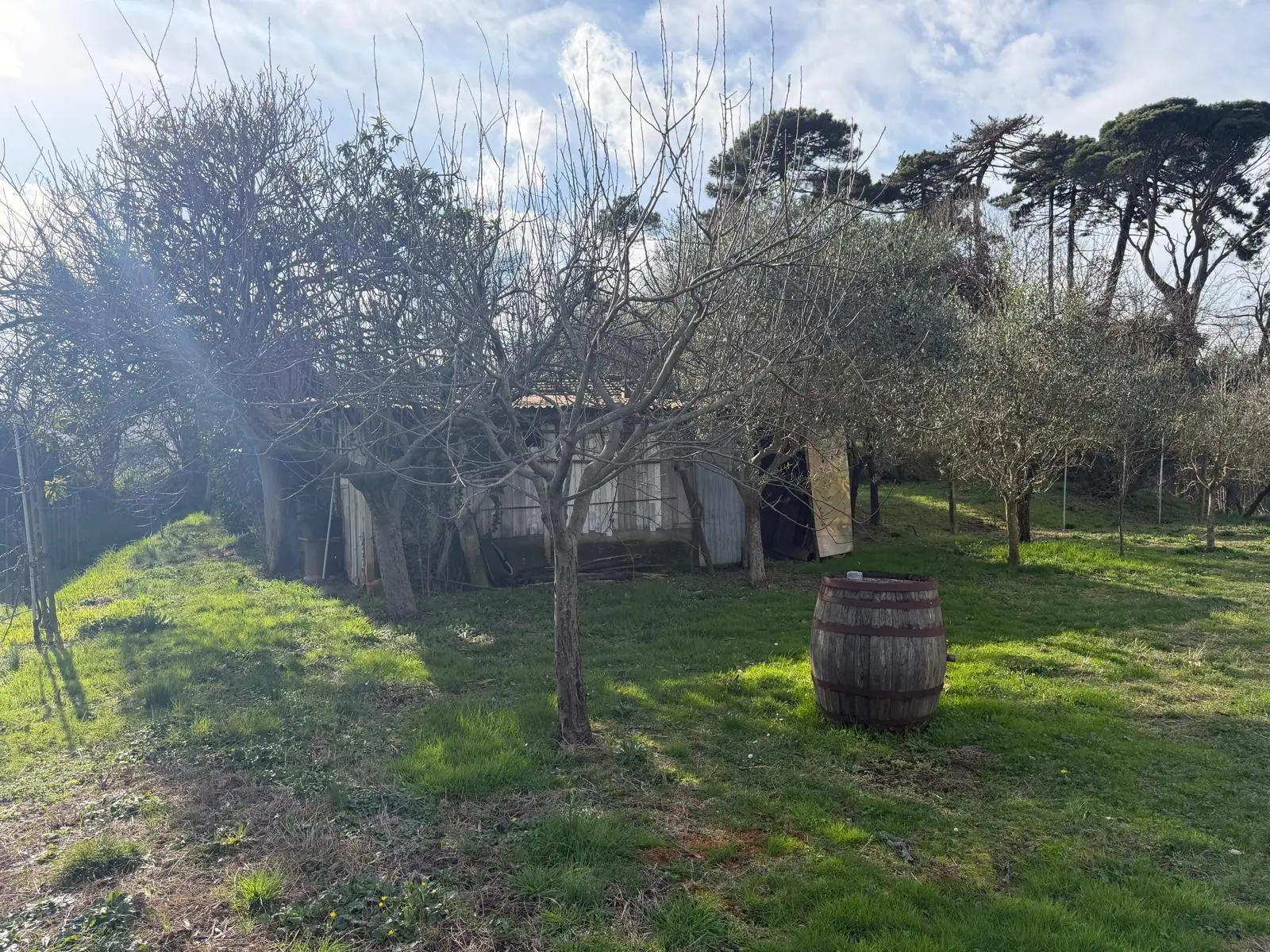 Immagine per Terratetto in vendita a Sarzana via Mazzincollo 35-19
