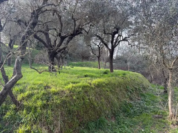 Terratetto via Mazzincollo 35-19, Sarzana