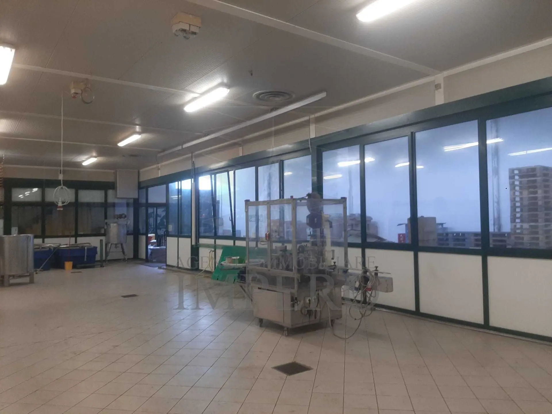 Immagine per Industriale in vendita a Camporosso via Braie 1