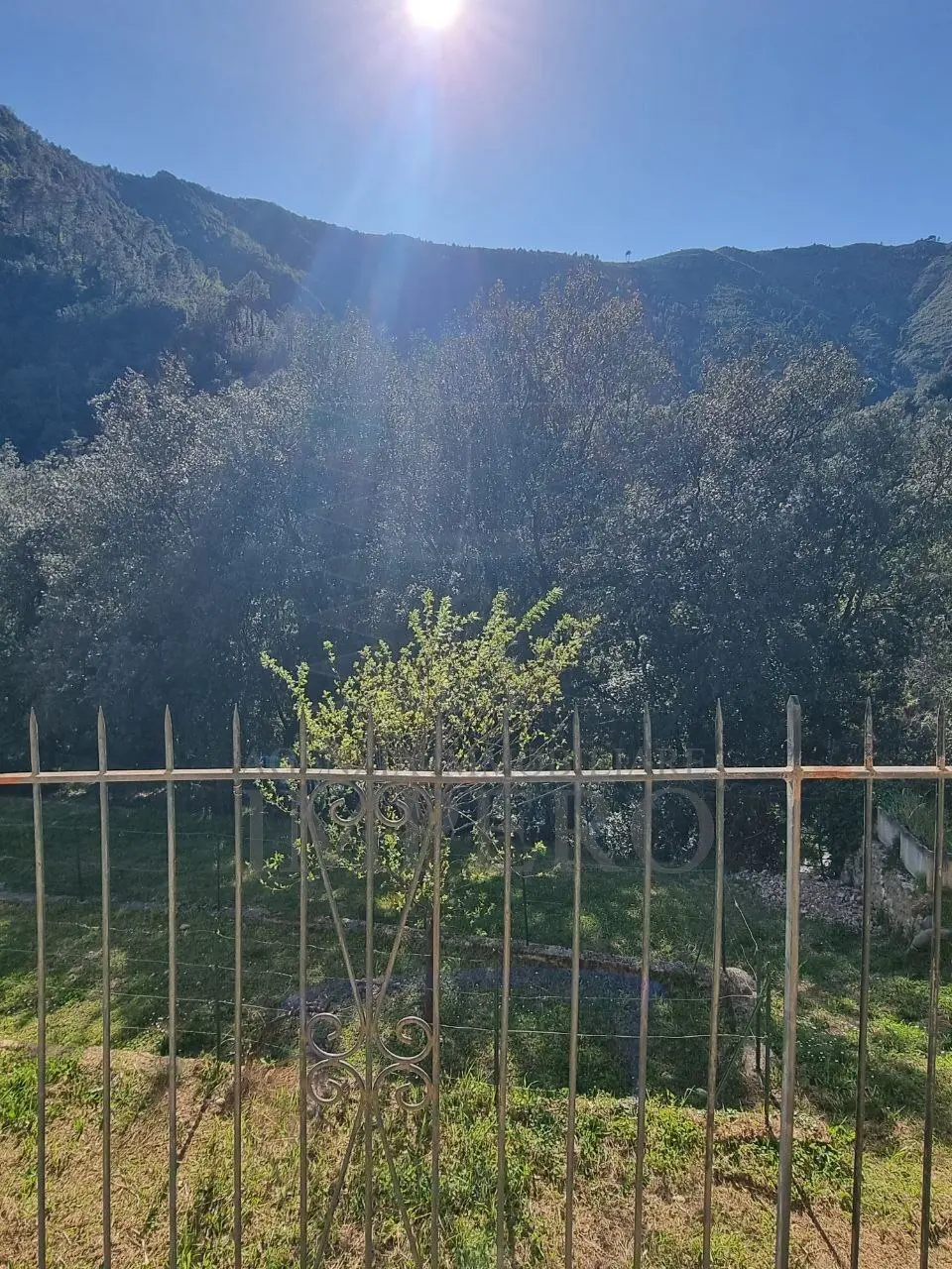 Immagine per Villa in vendita a Airole via Nazionale 20
