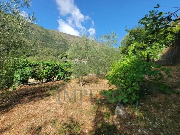 Terreno via Nazionale 20, Airole