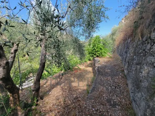 Terreno via Nazionale 20, Airole