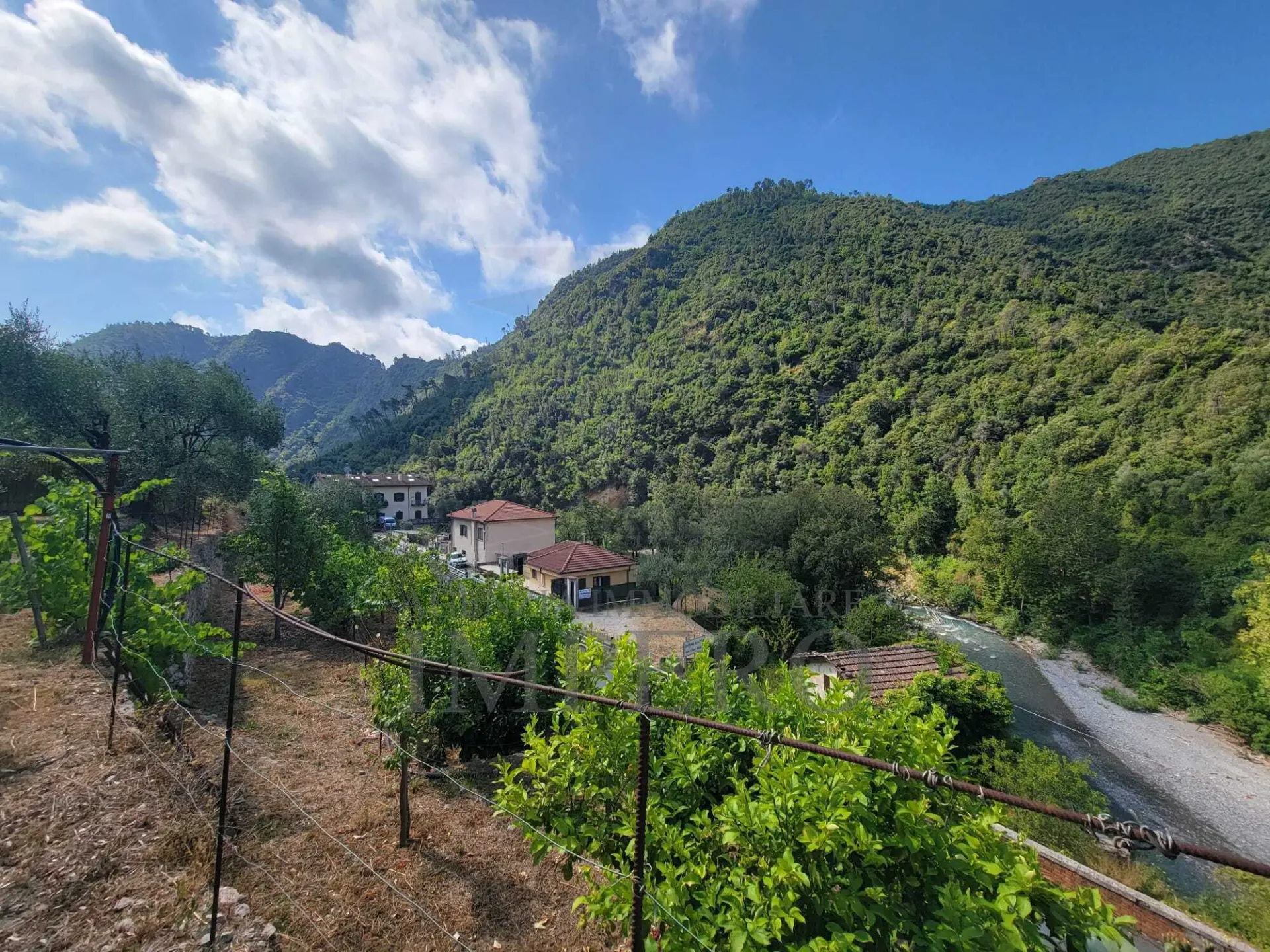 Immagine per Terreno in vendita a Airole via Nazionale 20
