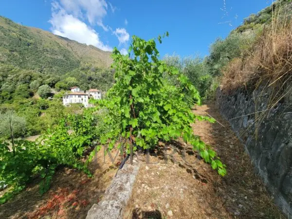 Terreno via Nazionale 20, Airole
