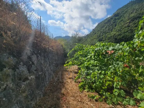 Terreno via Nazionale 20, Airole