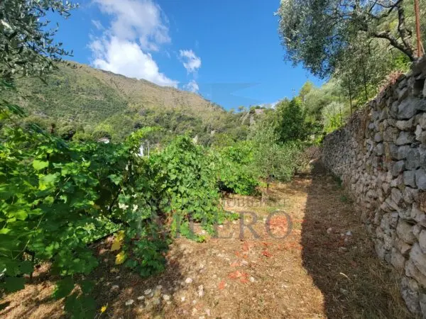 Terreno via Nazionale 20, Airole