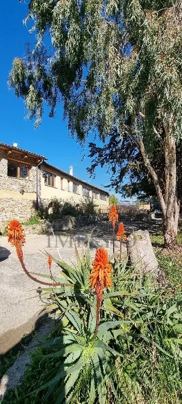 Immagine per Villa trifamiliare in vendita a Dolceacqua strada Provinciale
