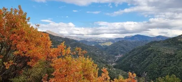 Villa Trifamiliare strada Provinciale, Dolceacqua