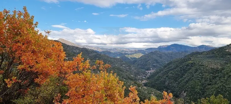 Immagine per Villa trifamiliare in vendita a Dolceacqua strada Provinciale