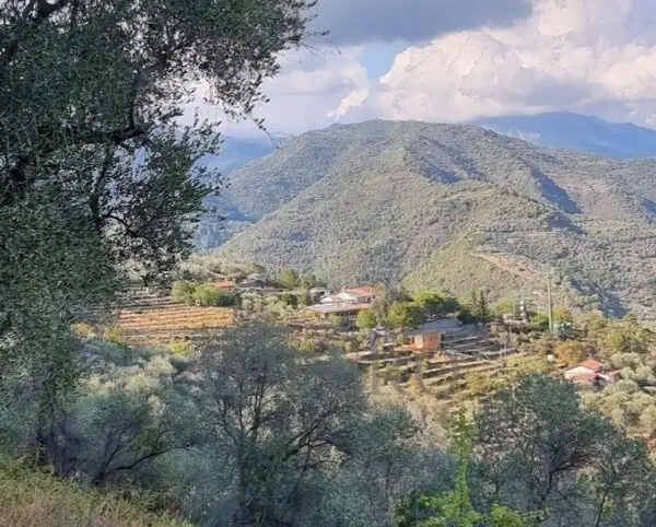 Villa Trifamiliare strada Provinciale, Dolceacqua