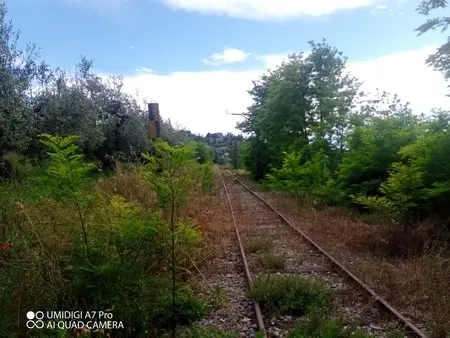 Uliveto via Contrada Marcianese, Lanciano