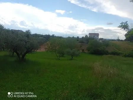 Uliveto via Contrada Marcianese, Lanciano