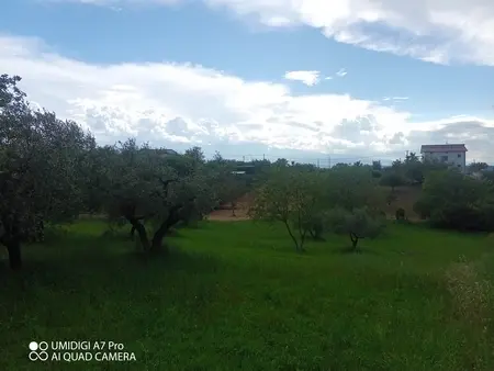 Uliveto via Contrada Marcianese, Lanciano