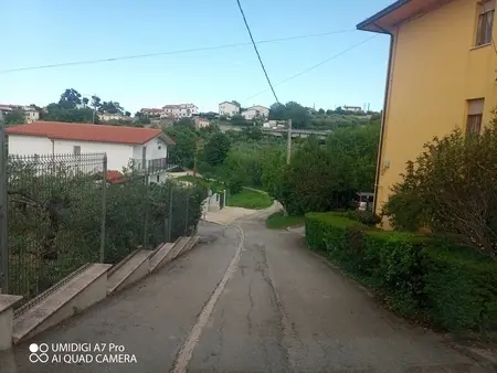 Uliveto via Contrada Marcianese, Lanciano