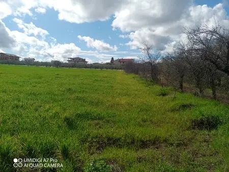 Agricolo via Villa Scorciosa, Fossacesia