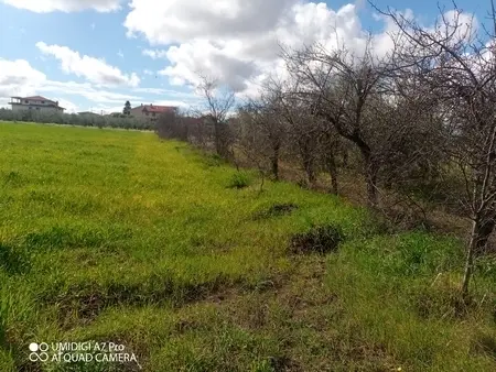 Agricolo via Villa Scorciosa, Fossacesia