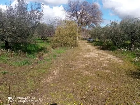Agricolo via Villa Scorciosa, Fossacesia