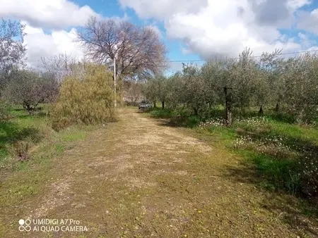 Agricolo via Villa Scorciosa, Fossacesia