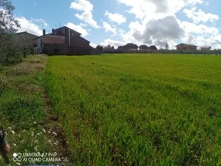 Agricolo via Villa Scorciosa, Fossacesia