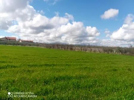 Agricolo via Villa Scorciosa, Fossacesia