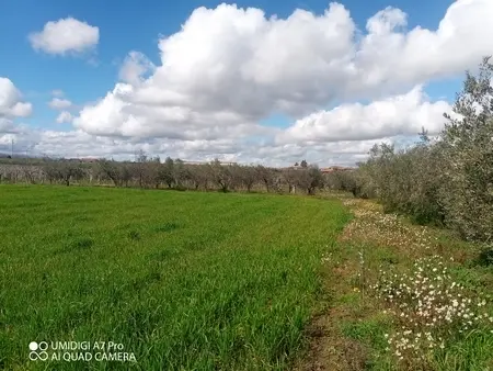 Agricolo via Villa Scorciosa, Fossacesia