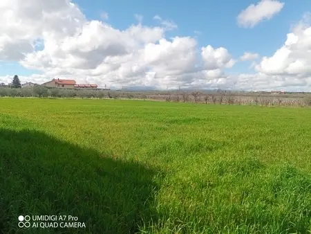 Agricolo via Villa Scorciosa, Fossacesia