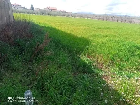 Agricolo via Villa Scorciosa, Fossacesia