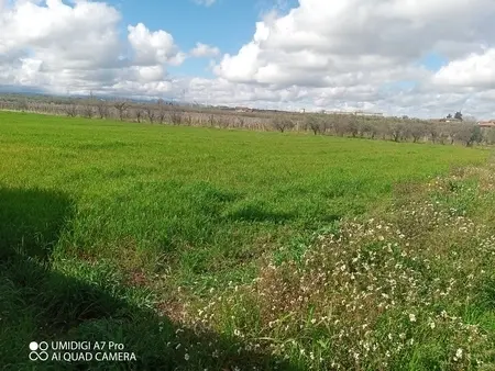 Agricolo via Villa Scorciosa, Fossacesia