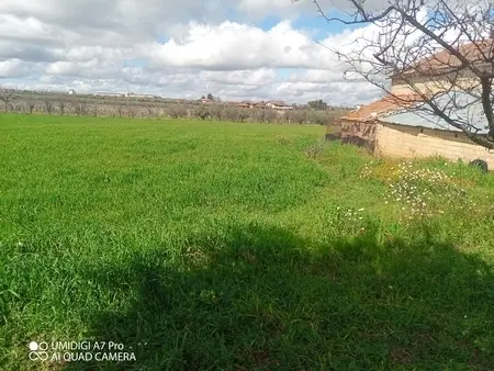 Agricolo via Villa Scorciosa, Fossacesia