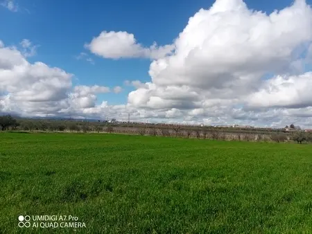 Agricolo via Villa Scorciosa, Fossacesia