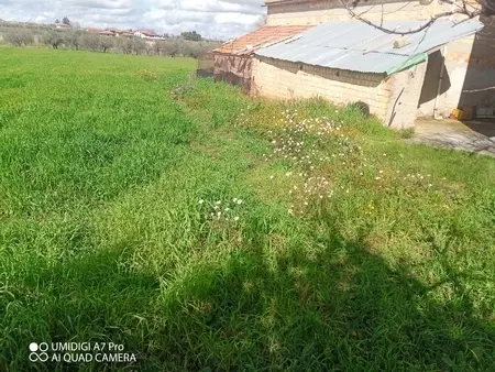 Agricolo via Villa Scorciosa, Fossacesia
