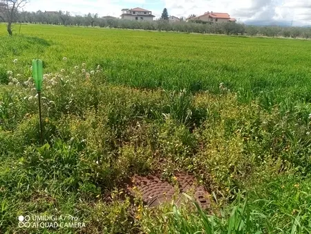Agricolo via Villa Scorciosa, Fossacesia