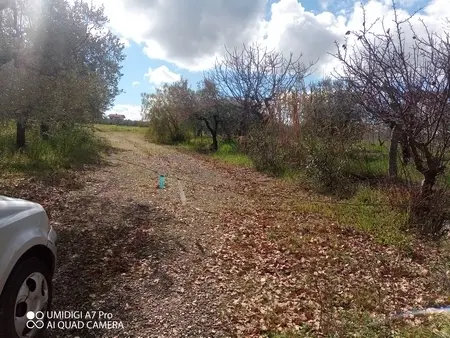 Agricolo via Villa Scorciosa, Fossacesia