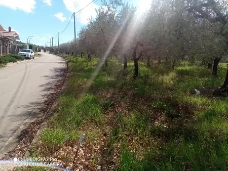 Agricolo via Villa Scorciosa, Fossacesia